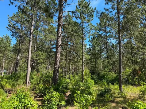 10998 Grange Road NW Bemidji MN 56601