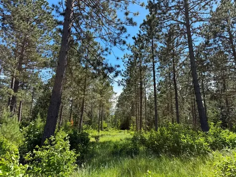 10998 Grange Road NW Bemidji MN 56601