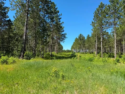 10998 Grange Road NW Bemidji MN 56601