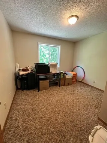 15136 Dandelion Lane NE Bemidji MN 56601