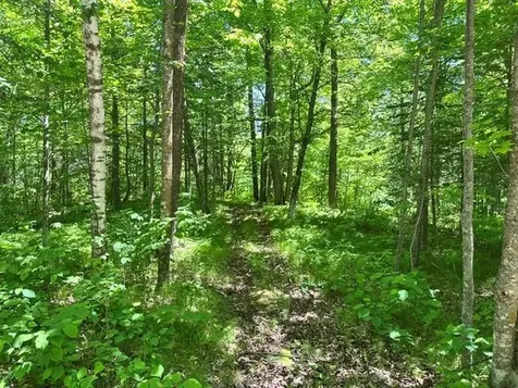 15136 Dandelion Lane NE Bemidji MN 56601