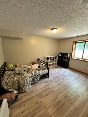 15136 Dandelion Lane NE Bemidji MN 56601