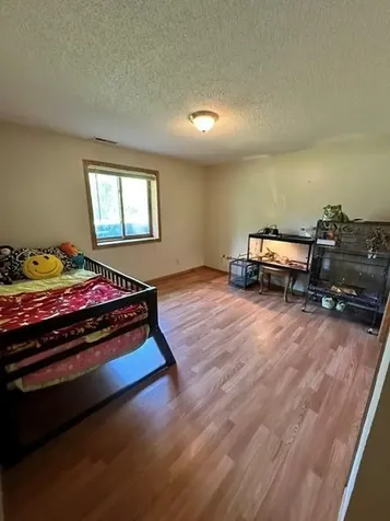 15136 Dandelion Lane NE Bemidji MN 56601