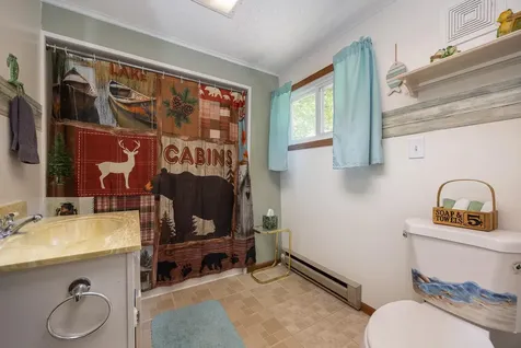 2461 Birch Park Drive NW Backus MN 56435