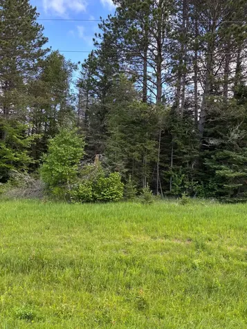 Xxx Town Line Road Bassett Twp MN 55602