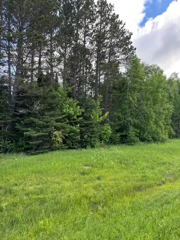 Xxx Town Line Road Bassett Twp MN 55602