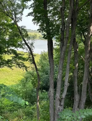 3122 Shady Cove Point NW Prior Lake MN 55372