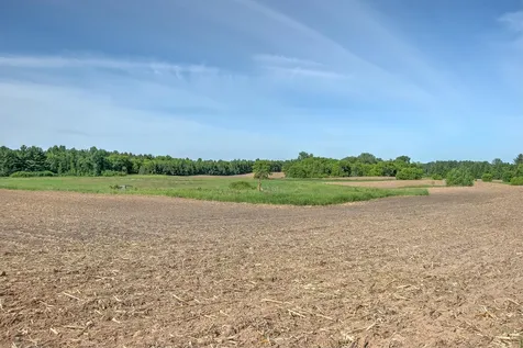 Tbd N Rush Point Drive W Stanchfield MN 55080
