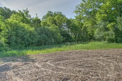 Tbd N Rush Point Drive W Stanchfield MN 55080