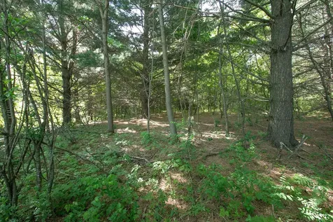 Tbd N Rush Point Drive W Stanchfield MN 55080