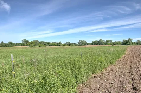 Tbd N Rush Point Drive W Stanchfield MN 55080
