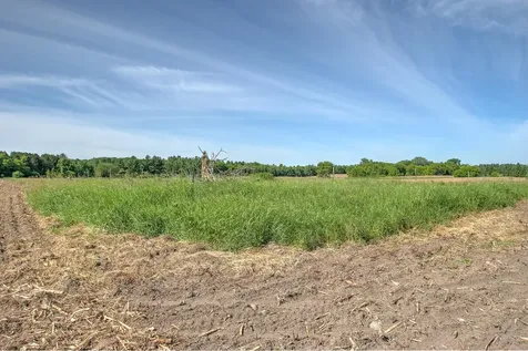 Tbd N Rush Point Drive W Stanchfield MN 55080