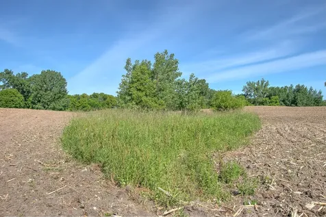 Tbd N Rush Point Drive W Stanchfield MN 55080