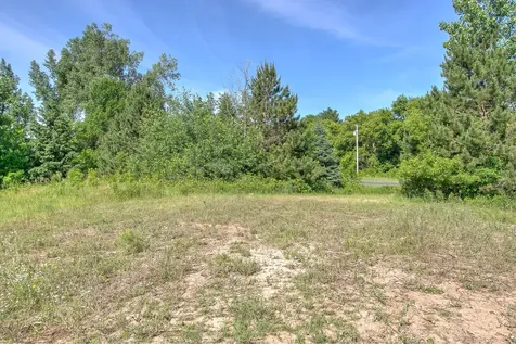 Tbd N Rush Point Drive W Stanchfield MN 55080