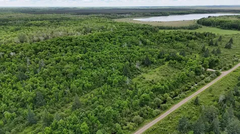 11840 Rice Haven Road Floodwood MN 55736