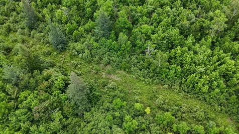 11840 Rice Haven Road Floodwood MN 55736