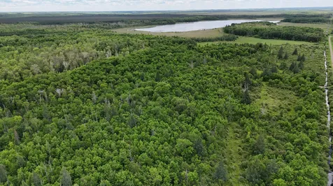 11840 Rice Haven Road Floodwood MN 55736