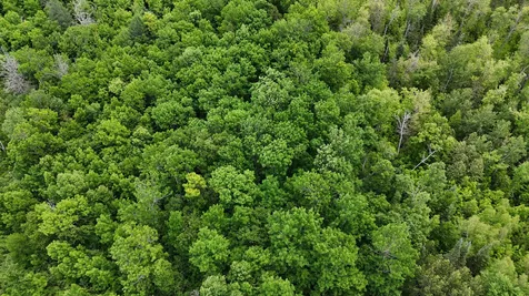 11840 Rice Haven Road Floodwood MN 55736
