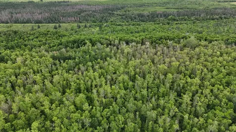 11840 Rice Haven Road Floodwood MN 55736