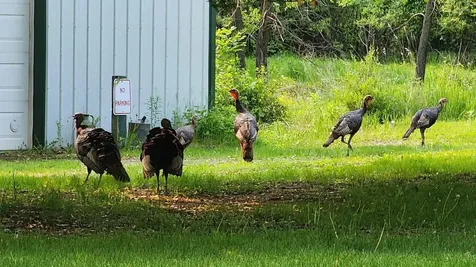 14890 Country Road Rogers MN 55374