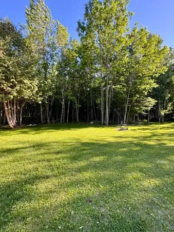 305 Shorewood Drive International Falls MN 56649