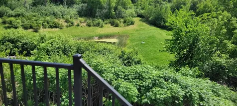 3927 Stone Point Drive NE Rochester MN 55906