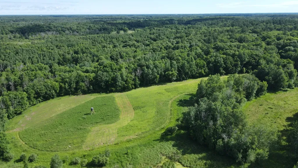 37102 Grandy Pines Road NE Stanchfield MN 55080