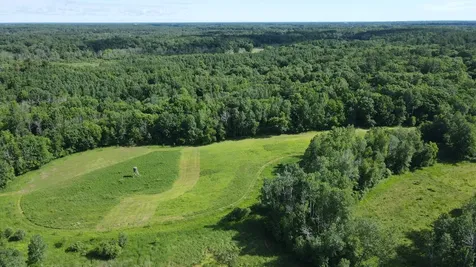 37102 Grandy Pines Road NE Stanchfield MN 55080