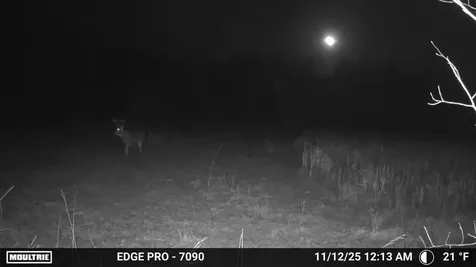 Tbd 350th Ave SW Lancaster MN 56735