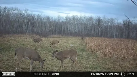 Tbd 350th Ave SW Lancaster MN 56735