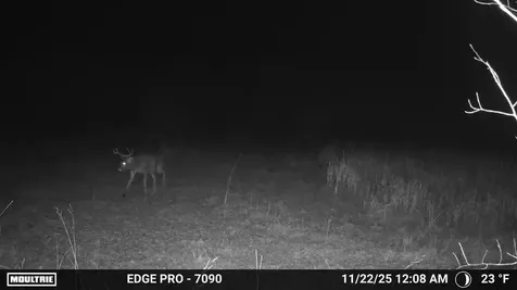 Tbd 350th Ave SW Lancaster MN 56735