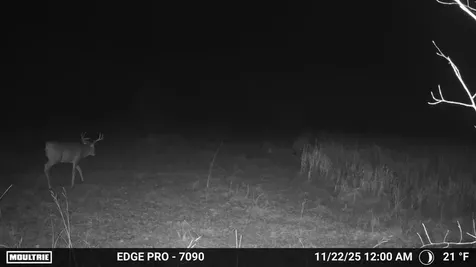 Tbd 350th Ave SW Lancaster MN 56735