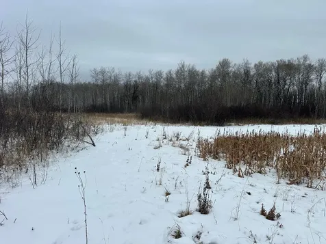 Tbd 350th Ave SW Lancaster MN 56735