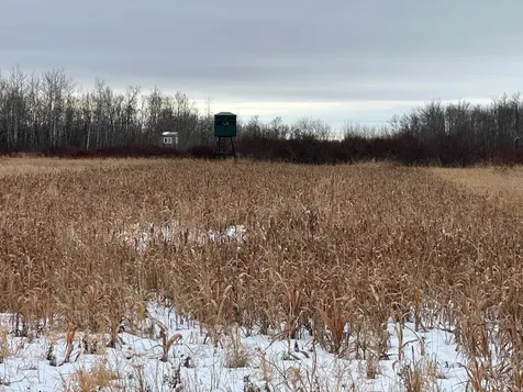 Tbd 350th Ave SW Lancaster MN 56735