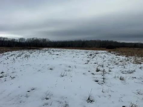 Tbd 350th Ave SW Lancaster MN 56735