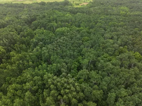 Tbd 350th Avenue Lancaster MN 56735