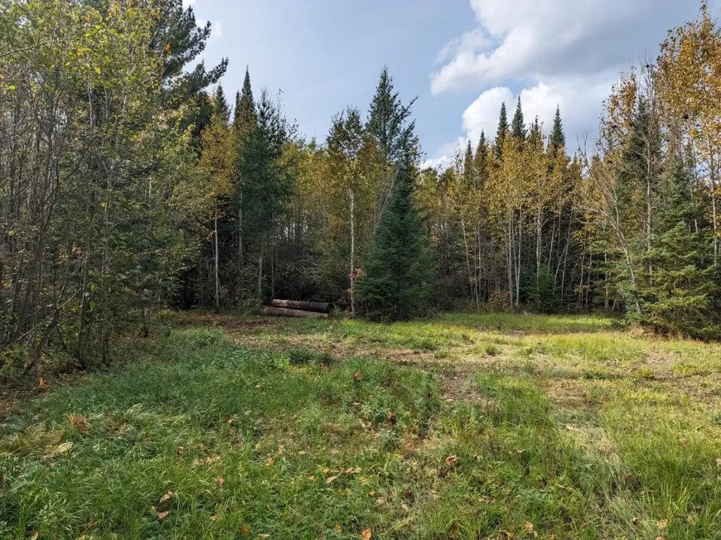 Tbd Deer River Line Road Littlefork MN 56653