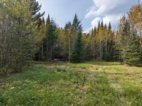 Tbd Deer River Line Road Littlefork MN 56653