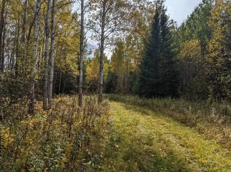 Tbd Deer River Line Road Littlefork MN 56653