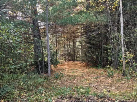 Tbd Deer River Line Road Littlefork MN 56653