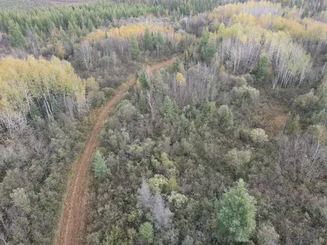 Tbd Deer River Line Road Littlefork MN 56653