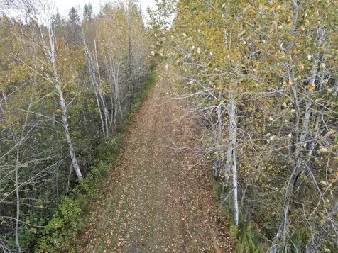 Tbd Deer River Line Road Littlefork MN 56653