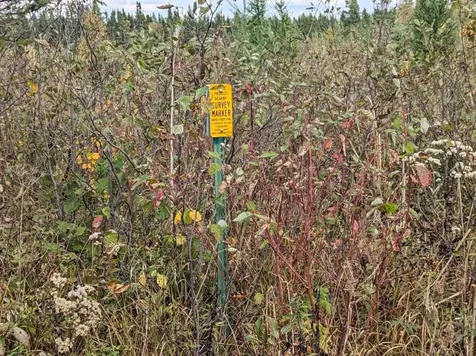 Tbd Deer River Line Road Littlefork MN 56653