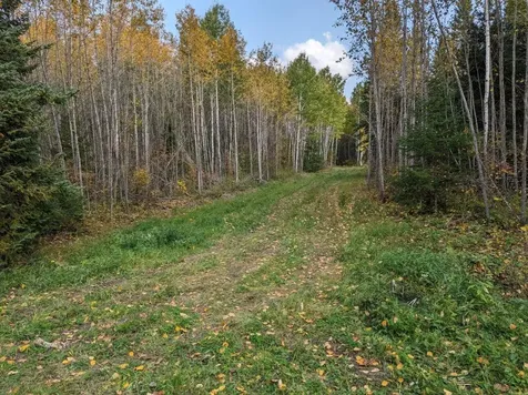 Tbd Deer River Line Road Littlefork MN 56653