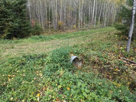 Tbd Deer River Line Road Littlefork MN 56653