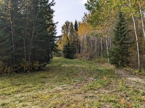 Tbd Deer River Line Road Littlefork MN 56653
