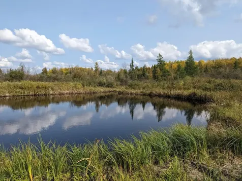 Tbd Deer River Line Road Littlefork MN 56653