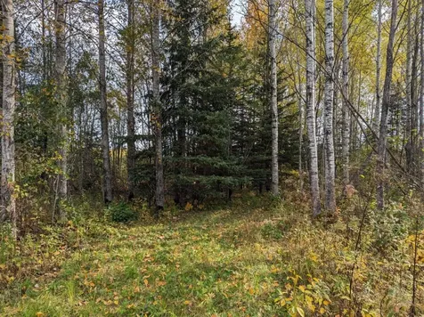 Tbd Deer River Line Road Littlefork MN 56653