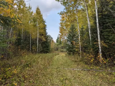 Tbd Deer River Line Road Littlefork MN 56653