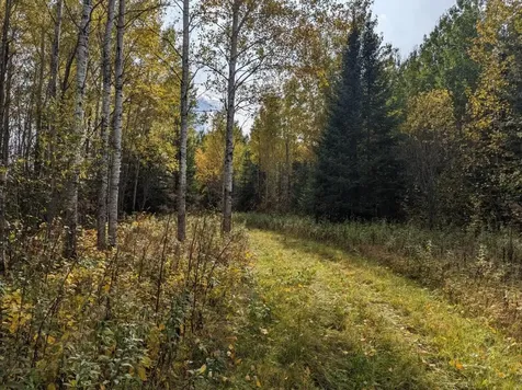 Tbd Deer River Line Road Littlefork MN 56653